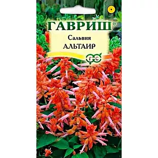 Сальвия сверкающая Альтаир Сальвия сверкающая Альтаир