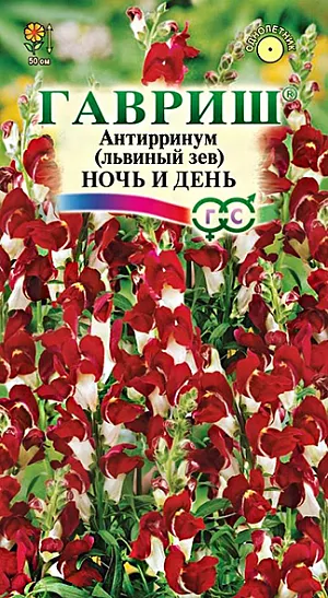 Семена Львиный зев (Антирринум) Ночь и день<br>
 <br>
 Контрастные бело-красные цветки эффектно смотрятся в саду на клумбах, в бордюрах и рабатках. Растение высотой 50 см, культивируется как однолетник. Цветет с конца июня до поздних заморозков. Львиный зев холодостоек, светолюбив, к почвам нетребователен, в засушливый период нуждается в поливе. Выращивают рассадным способом.Сорт хорошо подойдет для получения срезки (стоит в воде до двух недель).<br>