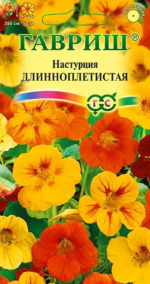 Настурция Длинноплетистая из каталога Настурция Семена Настурция Длинноплетистая.
Красивое однолетнее растение семейства Настурциевые с яркими цветками различной окраски. Высота до 350 см. Широко используется в вертикальном озеленении. Посев проводят семенами в грунт в мае или через рассаду в апреле. Всходы появляются через 10-14 дней. Рассаду высаживают в грунт, когда минует угроза заморозков. Расстояние между растениями 20-30 см. Цветение наступает через 50-60 дней после всходов. Цветет июнь-август. Настурция теплолюбива, боится незначительных заморозков, светолюбива и неустойчива к засухе. На плодородной почве разрастается в ущерб цветению. Хорошо растет и обильно цветет в ящиках на балконах и окнах, в бетонных вазах и контейнерах.