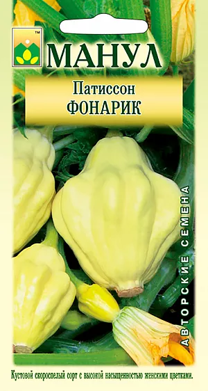 Семена Патиссон Фонарик