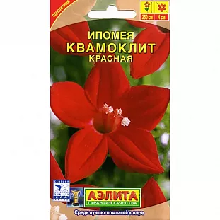 Ипомея Квамоклит красная