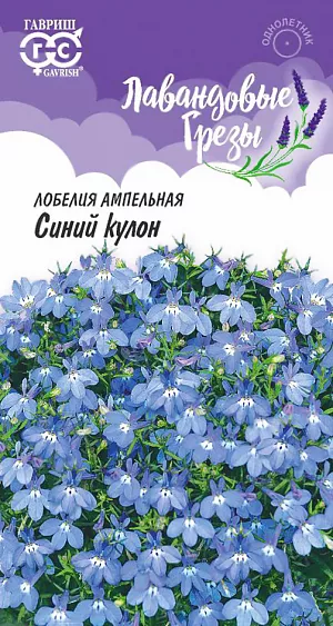 Семена Лобелия Синий кулон из каталога Лобелия Семена Лобелия Синий кулон.
Лобелия ампельная — это идеальное красивоцветущее растение, которым можно украсить клумбу на все лето. Прекрасно вписывается в любой дизайн сада и хорошо соседствует с другими цветами, не требует особенного ухода, кроме посадки и полива. Будьте уверены — этот цветок станет настоящей королевой вашего сада и самым изысканным украшением участка. С июня по сентябрь распускается целое море мелких, воздушных, насыщенно-синей окраски цветков, продолжительность и обильность которых может увеличиваться, если своевременно удалять отцветшие соцветия. Прекрасна в подвесных кашпо и балконных ящиках, подходит для декорирования вазонов, горшков и ландшафтных композиций.