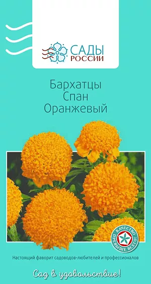 Бархатцы африканские Спан оранжевый

Бархатцы прямостоячие, или африканские. Куст крепкий, мощный, хорошо разветвленный с ярко-желтыми густомахровыми хризантемовидными соцветиями до 10 см в диаметре. Достаточно холодостойки, но рассаду высаживают в грунт, когда минует угроза заморозков.