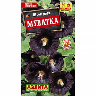 Шток-роза Мулатка Шток-роза Мулатка