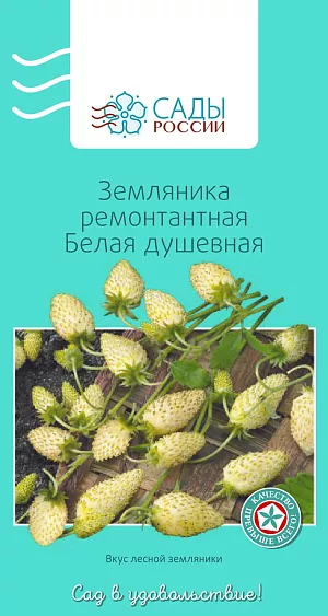 Семена Земляника (клубника) ремонтантная Белая душевная F1 0,2гр Семена Земляника (клубника) ремонтантная Белая душевная F1 0,2гр