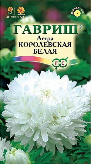 Семена Астра Королевская Белая.
Растение колоновидной формы, с прочными цветоносами высотой до 100 см. 
Соцветия крупные, пионовидные, белой окраски, диаметром 10-12 см. 
Для выращивания подходят хорошо освещенные участки с плодородной суглинистой или супесчаной почвой. 
Астры обладают высокой холодостойкостью – хорошо переносят заморозки до -3-4°C. Выращивают, чаще всего, рассадным способом. 
Семена высевают в марте-апреле, пикируют с развитием первой пары настоящих листочков по схеме 5х5 см, в открытый грунт рассаду высаживают с середины мая до начала июня.
Возможен посев семян в открытый грунт ранней весной или под зиму с последующим мульчированием торфом или опилками.
Используются для получения высококачественной срезки и оформления участка.