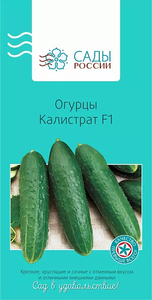Семена Огурец Калистрат F1 12шт
