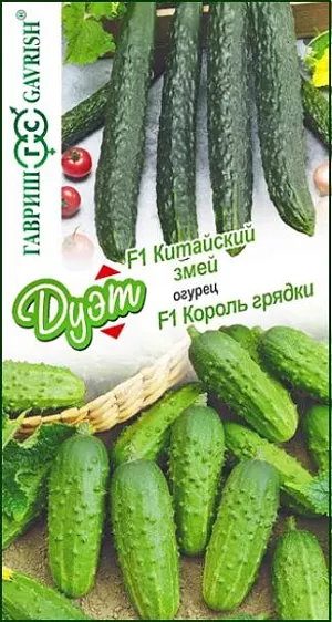 Семена Огурец Китайский змей + Король грядки F1 серия Дуэт Семена Огурец Китайский змей + Король грядки F1 серия Дуэт