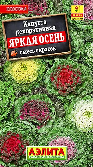 Семена Капуста декоративная Яркая осень смесь окрасок. <br>
 <br>
 Оригинальное по форме и окраске однолетнее травянистое растение высотой 20-30 см. Неприхотливое, холодостойкое. Листовые розетки до 30 см в диаметре расцвечивают яркими красками осенние цветники, когда летники начинают терять свою декоративность. Используется в одиночных и групповых посадках в миксбордерах и на клумбах, подходит для выращивания в крупных (не менее 10-15 л) контейнерах. Можно выращивать на “запасной” грядке, а в августе-сентябре пересадить на парадное место. Хорошо переносит пересадку с комом земли. Агротехника. Посев семян на рассаду на глубину 1 см. Пикировка в фазе семядолей. Высадка рассады в грунт со второй половины мая, через 35-40 дней, в фазе четырех-пяти настоящих листьев. Возможен посев в открытый грунт в мае.<br>
 <br>
 <iframe width="405" height="720" src="https://www.youtube.com/embed/fmFbcJXcEGg?feature=oembed" frameborder="0" allow="accelerometer; autoplay; clipboard-write; encrypted-media; gyroscope; picture-in-picture; web-share" allowfullscreen="" title="Капуста декоративная">
</iframe> <br>