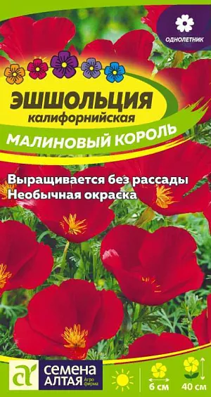 Эшшольция Малиновый король из каталога Эшшольция Эшшольция Малиновый король
Один из самых очаровательных и неприхотливых однолетников. Высаживается большими группами и образует ажурное переплетение из многочисленных побегов с тонко-рассеченными сизоватыми листьями и очаровательными малиновыми чашечками цветков диаметром 5-6 см. Высота растения достигает 40 см. Растение для занятых людей, бывающих в саду нерегулярно. Исключительно неприхотливо, прекрасно цветёт на любых почвах и при любых капризах погоды. Своим цветением создаст радостное настроение на всё лето. Придаст легкость и изящность цветникам, клумбам, каменистым горкам, мавританским газонам.
Растение светолюбивое, холодо- и засухоустойчивое, к почвам нетребовательно, но наибольшей декоративности достигает на легких дренированных почвах. Отзывчиво на полив и внесение удобрений (кроме свежих органических). Посевы проводят в конце апреля – начале мая в открытый грунт сразу на постоянное место. Глубина заделки семян 0,5-1 см. При температуре почвы +15-18°С всходы появляются на 8-10 день. Сеянцы прореживают, выдерживая интервал между растениями 10-12 см. Пересадку растение не переносит. Цветение продолжительное, с июня до осенних заморозков.