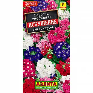 Семена Вербена Искушение смесь окрасок