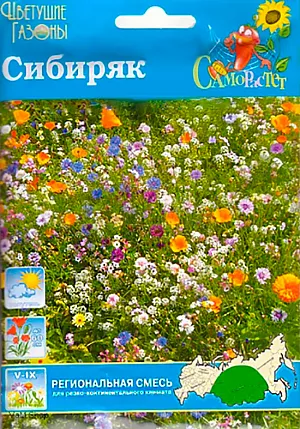 Газон цветущий Сибиряк