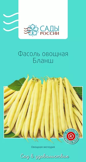 Фасоль Бланш 10шт