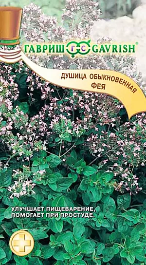 Душица обыкновенная Фея