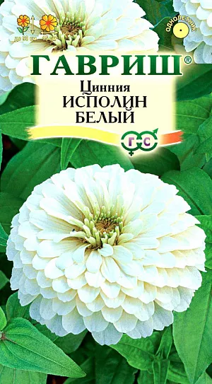 Семена Цинния Исполин Белый.
Серия высокорослых крупноцветковых цинний для элитного оформления сада. Отличается чрезвычайно обильным и продолжительным цветением, прочными ветвящимися цветоносами, чистыми и стойкими к выгоранию тонами соцветий.
Формирует приподнятые, разветвленные кусты высотой до 90 см. Соцветия георгиновидные, крупные, белые, 15 см в диаметре, с высокой устойчивостью к неблагоприятным погодным условиям. Цветет с июня до заморозков. 
Циннии светолюбивы, засухоустойчивы и теплолюбивы; отзывчивы на полив, без длительного полива снижается интенсивность цветения и уменьшается размер соцветий. Выращивают рассадным способом. Семена высевают в апреле. 
Всходы появляются через 4-6 дней. В начале июня растения высаживают на расстоянии 20 см.