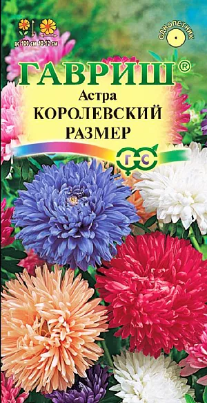 Семена Астра Королевский Размер.
Растение колоновидной формы, с прочными цветоносами высотой до 100 см. 
Соцветия крупные, пионовидные, разной окраски, диаметром 10-12 см. 
Для выращивания подходят хорошо освещенные участки с плодородной суглинистой или супесчаной почвой.
Астры обладают высокой холодостойкостью – хорошо переносят заморозки до -3-4°C. 
Выращивают, чаще всего, рассадным способом. Семена высевают в марте-апреле, пикируют с развитием первой пары настоящих листочков по схеме 5х5 см, в открытый грунт рассаду высаживают с середины мая до начала июня. 
Возможен посев семян в открытый грунт ранней весной или под зиму с последующим мульчированием торфом или опилками.
Используются для получения высококачественной срезки и оформления участка.