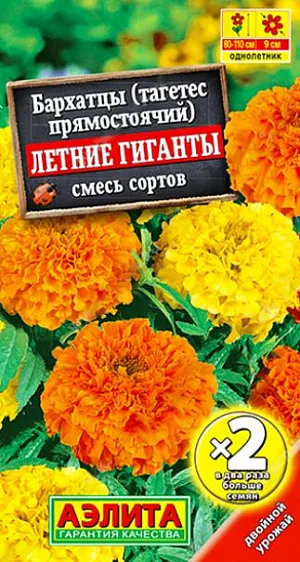 Семена Бархатцы Летние гиганты смесь. Высокорослая, обильноцветущая смесь бархатцев. Соцветия крупные, густомахровые, диаметром 7-9 см. Кусты крепкие, хорошо разветвленные, высотой 80-110 см. Цветение раннее и продолжительное. Растения прекрасно держат форму в течение всего сезона. Используются для сборных цветников, клумб и высоких бордюров. Подходят для срезки.<br>
 <br>
  Бархатцы предпочитают солнечные участки с дренированными, плодородными почвами нейтральной кислотности. Растения теплолюбивые, быстрорастущие, взрослые – достаточно засухоустойчивые.<br>