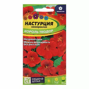 Настурция Король Теодор из каталога Настурция Семена Настурция Король Теодор<br>
<br>
Однолетнее растение высотой до 30 см. Популярная культура. Высаживается вдоль изгородей, беседок, на балконах. Настурция очень быстро растет, неприхотлива, необыкновенно красиво цветет. Листья и цветы этого растения съедобны. Они имеют специфический вкус и аромат: используют в свежем виде для салатов. <br>
Растение засухоустойчивое. Предпочитает рыхлые, питательные почвы. Рекомендуется посев непосредственно в открытый грунт в апреле-мае. <br>