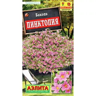 Бакопа Пинктопия Бакопа Пинктопия
