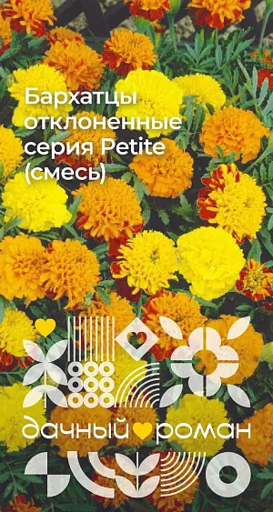 Семена Бархатцы отклоненные серия Petite (смесь)


Сортосмесь с ярко-желтой, оранжевой, шарлаховой окраской махровых соцветий до 5 см в диаметре. Растения сильноветвистые, компактные. Цветут все лето, включая осень. Прекрасные компаньоны для любых цветников. Теплолюбивые и засухоустойчивые. Подходят также для выращивания в контейнерах, на балконах. Можно высевать в грунт ранней весной или под зиму.
