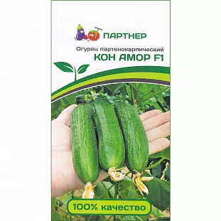 Семена Огурец Кон Амор F1