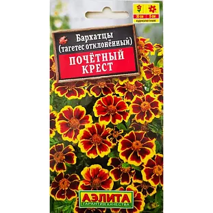 Бархатцы Почетный крест