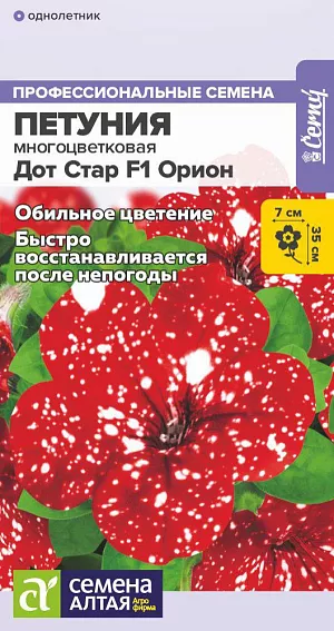 Петуния многоцветковая Дот Стар F1 Орион<br>
 <br>
 Гибрид с уникальной окраской цветков теперь можно вырастить из семян. Цветки насыщенно-красные с густым белым крапом; в зависимости от погоды и освещения интенсивность и размер белых акцентов может меняться. Отлично ветвится формирует густые обильно цветущие кустики. Гибрид устойчив к непогоде, быстро восстанавливается после дождя и ветра. Хорошо смотрится в клумбах, бордюрных посадках, кашпо и балконных ящиках.<br>
 Высота растения: 30-35 см<br>
Диаметр цветка: 6-7 см