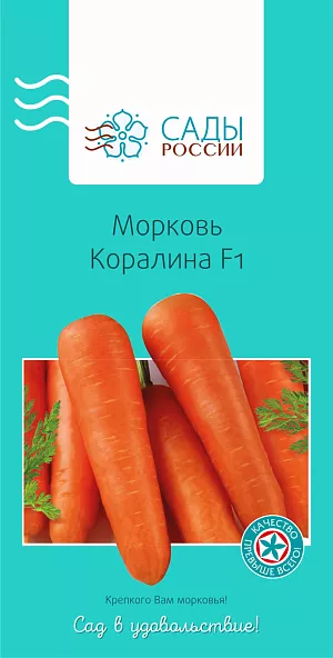 Семена Морковь Коралина F1