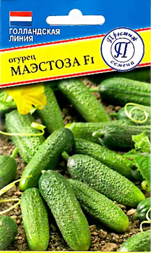 Семена Огурец Маэстоза F1