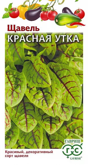 Щавель Красная утка Щавель Красная утка