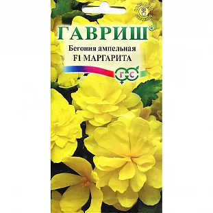 Бегония Маргарита ампельная F1