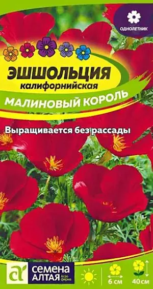 Эшшольция Лиловый луч из каталога Эшшольция Семена Эшшольция "Лиловый луч".<br>
Один из самых очаровательных и неприхотливых однолетников. Высаживается большими группами и образует ажурное переплетение из многочисленных побегов с тонко-рассеченными сизоватыми листьями и очаровательными малиновыми чашечками цветков диаметром 5-6 см. Высота растения достигает 40 см. Растение для занятых людей, бывающих в саду нерегулярно. Исключительно неприхотливо, прекрасно цветёт на любых почвах и при любых капризах погоды. Своим цветением создаст радостное настроение на всё лето. Придаст легкость и изящность цветникам, клумбам, каменистым горкам, мавританским газонам. Растение светолюбивое, холодо- и засухоустойчивое, к почвам нетребовательно, но наибольшей декоративности достигает на легких дренированных почвах. Отзывчиво на полив и внесение удобрений (кроме свежих органических). Посевы проводят в конце апреля – начале мая в открытый грунт сразу на постоянное место. Глубина заделки семян 0,5-1 см. При температуре почвы +15-18°С всходы появляются на 8-10 день. Сеянцы прореживают, выдерживая интервал между растениями 10-12 см. Пересадку растение не переносит. Цветение продолжительное, с июня до осенних заморозков.