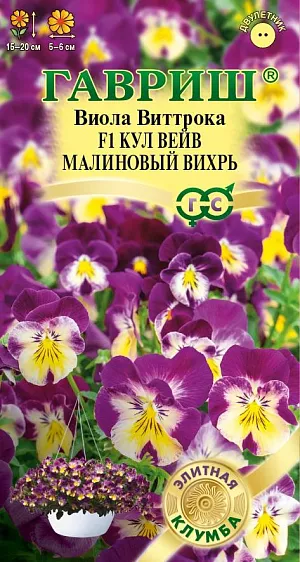 <div>
 Семена Виола Кул вейв малиновый вихрь F1.
</div>
 <article>
<p>
 Один из лучших гибридов среди ампельных виол! Мощное ветвистое растение с крупными, ароматными, бархатисто-нежными цветками удивительной расцветки и сочной изумрудной листвой станут идеальным решением для украшения балконов и террас. Цветок-настроение меняет свою окраску от насыщенных малиново-фиолетовых тонов, когда прохладно до легких солнечно-желтых в теплое время года. Такое «эмоциональное» цветение продолжительное, обильное и красочное, с ранней весны до осени. Благодаря силе и скорости роста культура быстро образует пышный нарядный кустик высотой 15-20 см. 
</p>
<p>
  Влаголюбива, холодостойка, хорошо растет на солнце и в полутени. Для получения растений, цветущих в год посева, семена высевают на рассаду в феврале-марте. Всходы появляются через 5-7 дней. В открытый грунт рассаду высаживают в конце апреля-начале мая на расстоянии 10-15 см. Растения хорошо переносят пересадку в цветущем состоянии. При посеве в открытый грунт в июне-июле, цветение наступает на второй год. Очаровательная виола Кул вейв прекрасно будет смотреться в подвесных корзинах, вазонах и контейнерах, а также можно использовать как почвопокровное растение.
</p>
 </article>