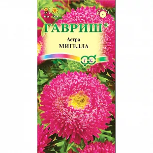 Семена Астра Мигелла, однолетняя