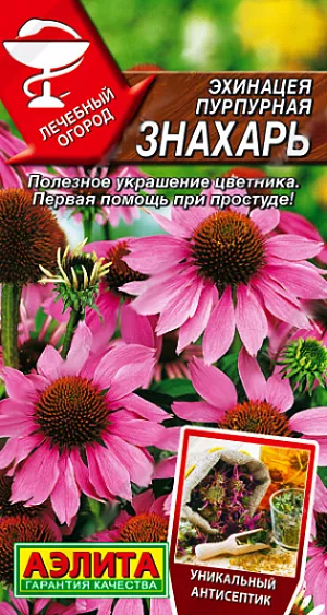 Эхинацея пурпурная Знахарь из каталога Эхинацея Семена Эхинацея пурпурная Знахарь. Популярное лекарственное и декоративное многолетнее травянистое растение высотой 90-100 см. Стебли прочные, в подпорках не нуждаются. Многочисленные яркие крупные соцветия украшают сад в июле и августе. Растение засухоустойчиво и зимостойко, отличный медонос. Эффектно смотрится в смешанных цветниках, используется для срезки: соцветия долго стоят в воде, не теряя декоративных качеств. Заготавливают эхинацею в период цветения. Надземную часть применяют при простуде и гриппе, для лечения хронических воспалительных заболеваний. Наружно – для лечения ожогов, абсцессов и инфицированных ран.<br>
<br>
Посев семян на рассаду с пикировкой в фазе настоящего листа. Семена в стратификации не нуждаются. Рассаду высаживают на постоянное место в июне. Возможен посев в открытый грунт в мае.<br>