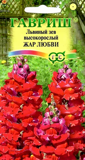 Семена Львиный зев высокорослый Жар любви.
Великолепный крупноцветковый срезочный сорт.Декоративное растение из семейства Норичниковые, культивируемое как однолетник, высотой 70-90 см. Цветет с конца июня до поздних заморозков. Цветки собраны в кистевидные соцветия темно-красной окраски. Холодостоек, светолюбив, к почвам нетребователен, в засушливый период нуждается в поливе. Выращивают рассадным способом. Посев проводят с начала марта до середины апреля. Всходы появляются через 8-12 дней. Рассаду высаживают во второй половине мая с расстоянием между растениями 35-40 см. Используется для групповых посадок и цветников, а также для получения высококачественной срезки (львиный зев стоит в воде до двух недель).