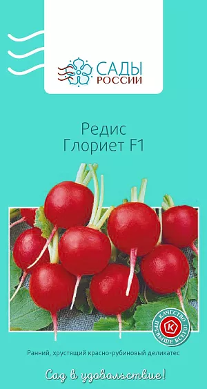 Редис Глориет F1 1гр