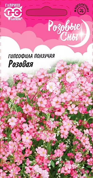 Семена Гипсофила Ползучая Розовая.
Многолетнее неприхотливое растение семейства Гвоздичные высотой 10-15 см со стелющимися стеблями с многочисленными мелкими розовыми цветками и темно-зелеными листьями. 
Цветет в июне-июле. Морозостойка, но молодые растения желательно укрывать на зиму.
Светолюбива, предпочитает легкие, сухие, водопроницаемые почвы, Быстро разрастается, на одном месте может расти до 25 лет.
Высевают в апреле-мае в открытый грунт. Высаживают на постоянное место с расчетом 2-3 растения на 1 кв.м. 
Используется в оформлении участка, прекрасное растение для альпинария.