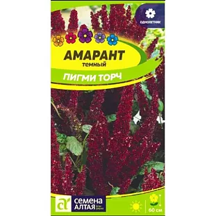 Амарант Пигми Торч темный