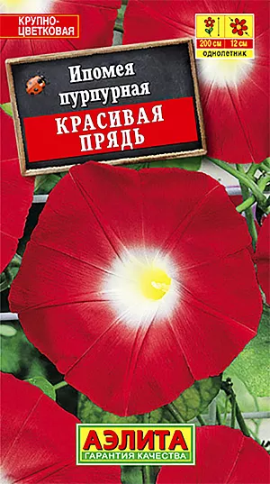 Семена Ипомея Красивая Прядь.
Неприхотливый, быстрорастущий сорт с яркими, крупными цветками-граммофончиками диаметром 10-12 см. Побеги прочные, ветвистые, способны обвить любую опору на высоту до 200 см. Растения неприхотливые, жаростойкие, засухоустойчивые, тепло- и светолюбивые. Хорошо переносят воздействие дождя и ветра. Идеально подходят для вертикального озеленения террас, беседок, пергол, декорирования заборов и стен домов. Отлично растут в контейнерах и балконных ящиках. 
Агротехника. Посев в открытый грунт предварительно замоченными семенами гнёздами по 2-3 шт. Всходы появляются на 5-7 день. Можно сеять на рассаду в горшочки в конце 
апреля, это ускорит цветение на 3-4 недели. Растениям необходимы регулярные поливы, прополки, рыхления и подкормки.