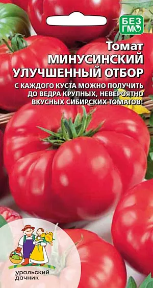 Семена Томат Минусинский улучшенный отбор Семена Томат Минусинский улучшенный отбор