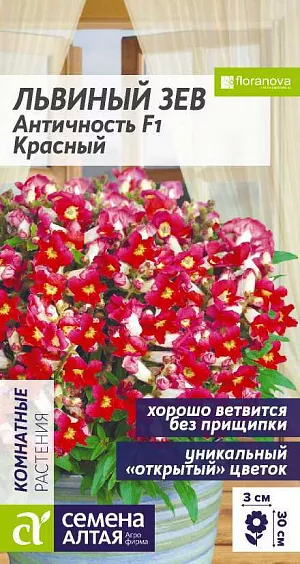 Семена Львиный зев Античность Красный.<br>
<br>
Уникальная открытая форма цветка. Растение отлично ветвится без прищипки, хорошо разрастается, формируя густой широкий кустик. Цветки крупные, насущенно-красного цвета со светлым «глазком» в центре, собраны в метельчатые соцветия. Однолетник. Можно выращивать в комнатных и уличных кашпо, балконных ящиках, контейнерах, вазонах.<br>
<br>
  Высота растения: 25-30 см. Ширина растения: 35-40 см. Диаметр цветка: 3 см.<br>
<br>
  Условия выращивания, место посадки: хорошо освещенные прохладные места. Требования к грунту: питательный хорошо дренированный грунт со слабокислой или нейтральной реакцией<br>
<br>
 Способ посева: семена высевают на уплотненное ложе замоченных торфяных таблеток или увлажненного торфяного грунта, заделывая на глубину 0,2-0,3 см или присыпая вермикулитом. Емкость накрывают прозрачной крышкой или пленкой до появления первых всходов, периодически проветривают. Оптимальная температура +21…22°С. После появления первых всходов рекомендуется организовать досветку 10-12 часов в сутки, температуру снижают до +18…20°С<br>
 Время до появления всходов: 7-10 дней<br>
<br>
  Перевалка: производится в стадии 2-4 настоящих листьев в рассадные емкости диаметром около 9 см, около 7 недели после посева<br>
 Время высадки в открытый грунт: май, когда ночные температуры не будут опускаться ниже +8°С<br>
 Посадочное расстояние: 30-40 см<br>
 Период цветения: май-сентябрь, в зависимости от сроков посева<br>
<br>
 Уход: не допускать переувлажнения, периодически давать субстрату просохнуть. При выращивании на улице требует профилактических обработок против грибковых заболеваний. При появлении паутинного клеща требуется обработка акарицидными препаратами. Подкормки проводят раз в две недели комплексными удобрениями с низким содержанием аммония.