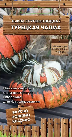 Семена Тыква Турецкая чалма крупноплодная Семена Тыква Турецкая чалма крупноплодная