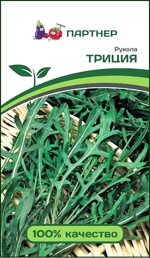 Семена Рукола Триция