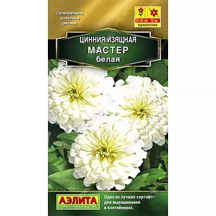 Семена Цинния Мастер белая Семена Цинния Мастер белая