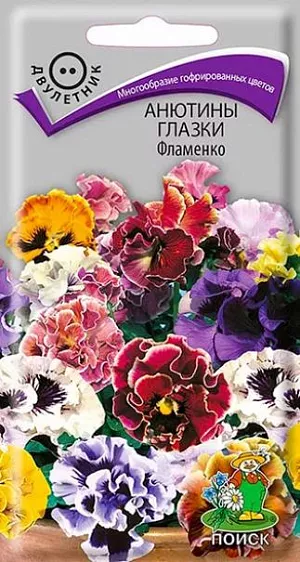 Семена Анютины глазки Фламенко из каталога Виола Семена Анютины глазки Фламенко.<br>
<br>
Забавное многообразие гофрированных цветов, которые займут центральное место в вашем саду! Цветы диаметром 5-6 см., разнообразной окраски. Высота растения 15-23 см. Цветёт с апреля по ноябрь. Используют для клумб и бордюров, в цветники - группами.<br>
<br>
Агротехника. Растение отличается обильным цветением и морозостойкостью. Предпочитает солнечные места (но хорошо растет и в полутени), рыхлые, плодородные почвы. Размножают посевом семян в июле на разводочные гряды. Семена слегка присыпают землей. При температуре почвы +18°C всходы появляются на 10-15 день. Сеянцы пикируют в фазе 1-2-й пары настоящих листьев. В конце августа – начале сентября рассаду высаживают на постоянное место, выдерживая расстояние между растениями 15-20 см. Семена соответствуют требованиям международных стандартов и ГОСТу РФ 12260-81.<br>