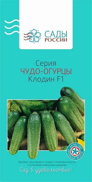Семена Огурец Клодин F1 Семена Огурец Клодин F1