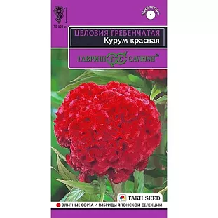 Целозия гребенчатая Курум красная Целозия гребенчатая Курум красная