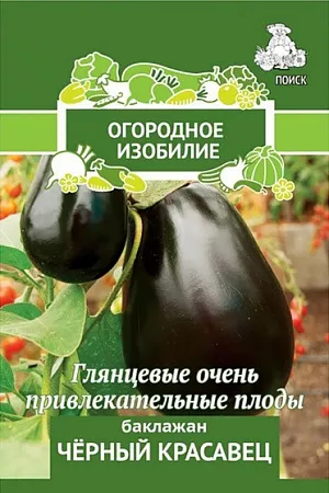 Семена Баклажан Черный красавец Семена Баклажан Черный красавец