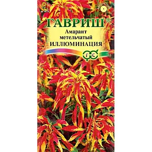 Амарант Иллюминация трёхцветный